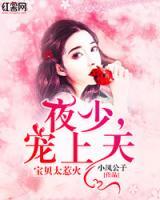 夜少，寵上天