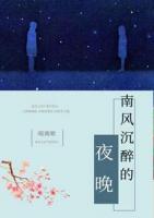 南風(fēng)沉醉的夜晚
