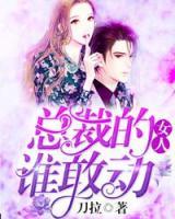 總裁的女人誰敢動