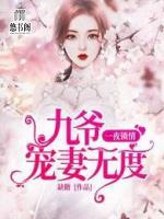 一夜鎖情：九爺寵妻無(wú)度