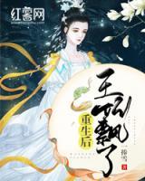 重生后王妃飄了
