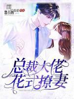 總裁大佬花式撩妻