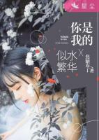 你是我的似水繁華