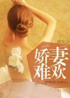 盛寵之嬌妻難歡