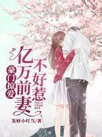 豪門掠愛，億萬前妻不好惹