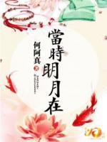 當時明月在