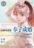 奉子成婚：總裁拒談愛情