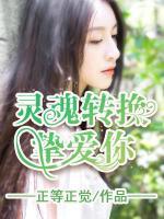 靈魂轉(zhuǎn)換摯愛你