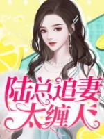 陸總追妻太纏人