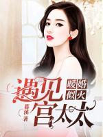 暖婚似火：遇見，宮太太