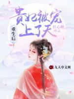 重生后，貴妃被寵上了天