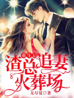重生后，渣總追妻火葬場(chǎng)