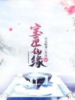 寶匣仙緣