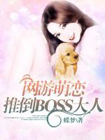 網(wǎng)游萌戀：推倒BOSS大人