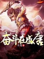 奮斗在盛唐