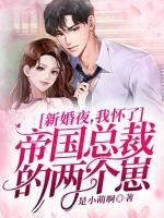 新婚夜，我懷了帝國總裁的兩個崽