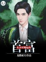 從鄉(xiāng)村崛起的首富