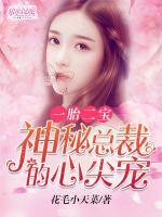 一胎二寶：神秘總裁的心尖寵