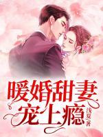 暖婚甜妻寵上癮