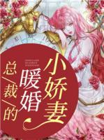 總裁的暖婚小嬌妻