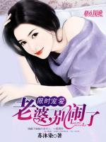 限時寵愛：老婆，別鬧了