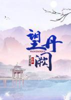望丹闕