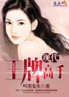 現(xiàn)代王牌高手