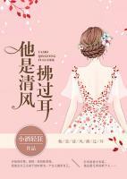 他是清風(fēng)拂過耳