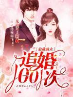 總裁前夫追婚1001次