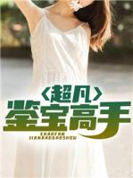 超凡鑒寶高手