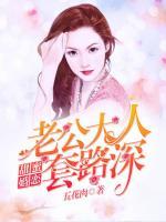 甜蜜婚戀：老公大人套路深