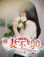 天才萌寶：前妻不好追
