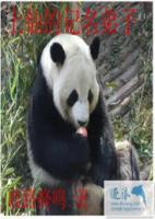 上仙的記名弟子