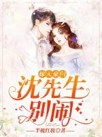嫁入豪門：沈先生，別鬧