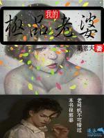 我的極品老婆