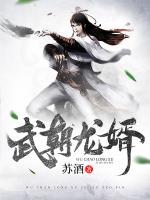 武朝龍婿