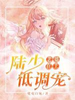 老婆在上：陸少低調(diào)寵
