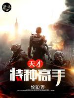 天才特種高手