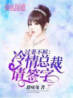 過妻不候：冷情總裁請簽字