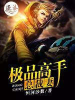 極品高手總裁妻