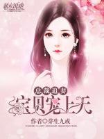 總裁追妻，寶貝寵上天