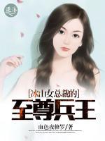 冰山女總裁的至尊高手