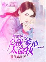 替婚嬌妻：總裁爹地太偏執(zhí)