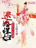 逃婚悍婦:北冥太子你真遜
