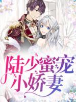 陸少蜜寵小嬌妻