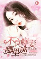 不良鮮妻哪里逃