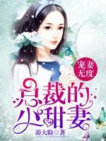 寵妻無度：總裁的小甜妻