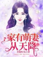 家有萌妻從天降