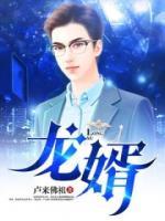 龍婿