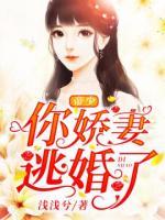 帝少，你嬌妻逃婚了